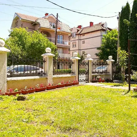 Nikola Daire Soko Banja