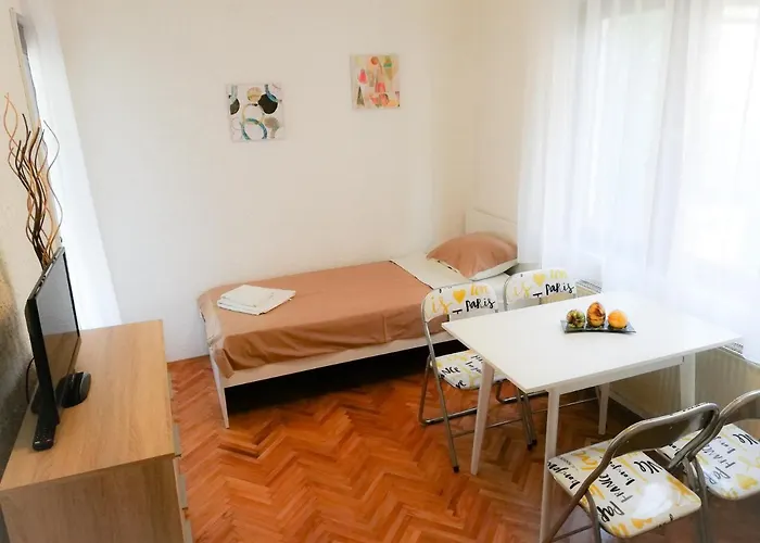 公寓 Nikola 索科矿泉村