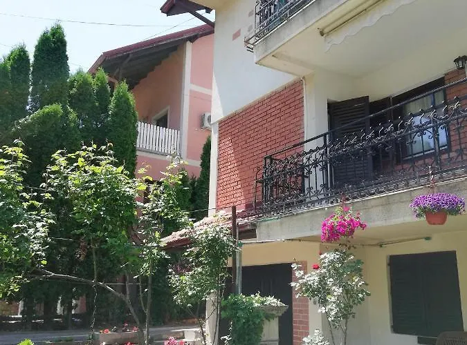 Nikola 公寓 索科矿泉村