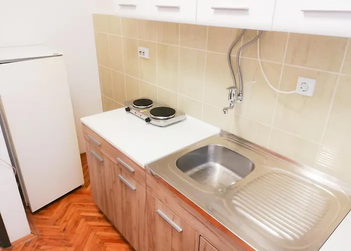 公寓 Nikola 索科矿泉村