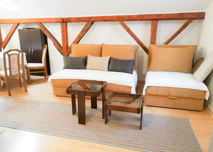 Nikola 索科矿泉村