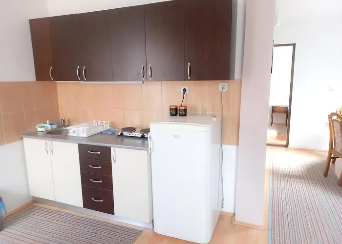 Nikola 公寓 索科矿泉村