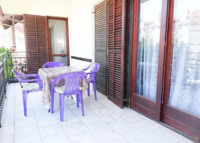 Nikola * 索科矿泉村