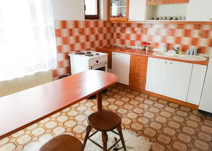 Nikola 索科矿泉村