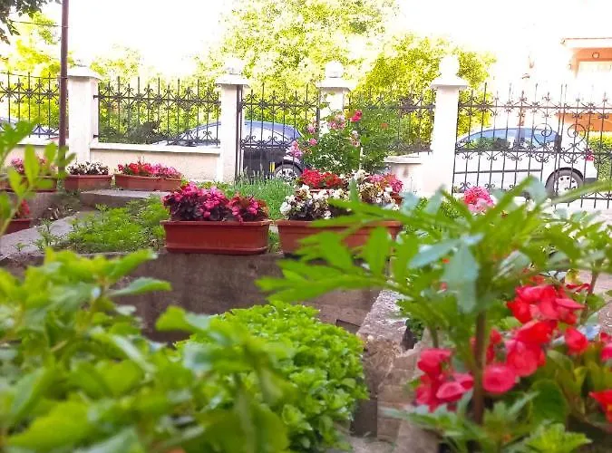 Nikola * 索科矿泉村