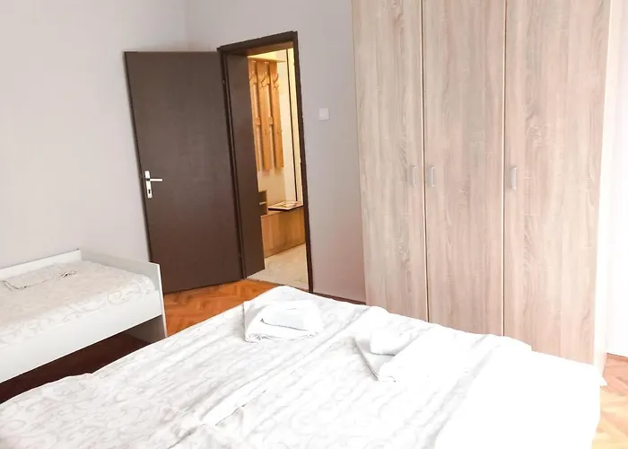 Nikola 公寓 索科矿泉村