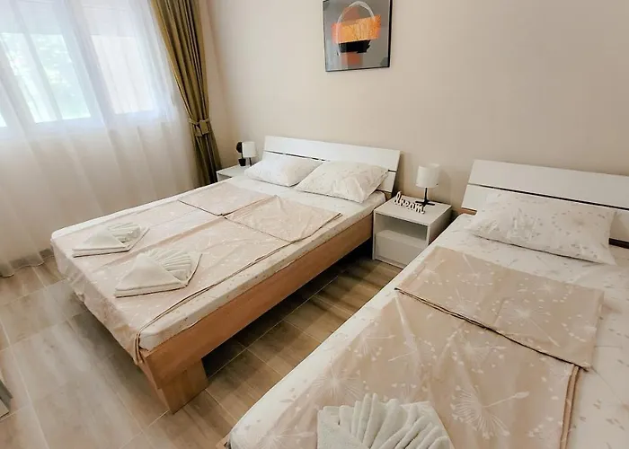 Nikola * 索科矿泉村