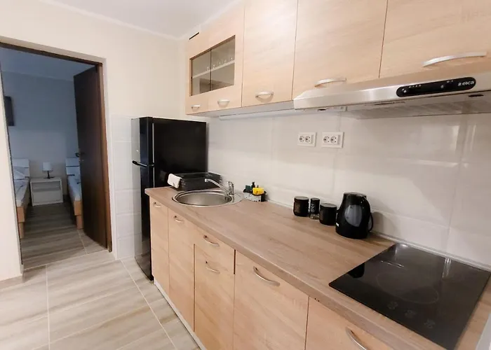 Nikola 公寓 索科矿泉村