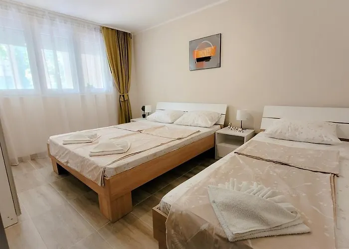 公寓 Nikola 索科矿泉村