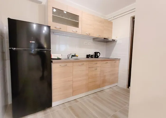 Nikola 索科矿泉村