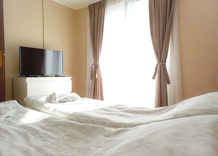 Nikola 索科矿泉村