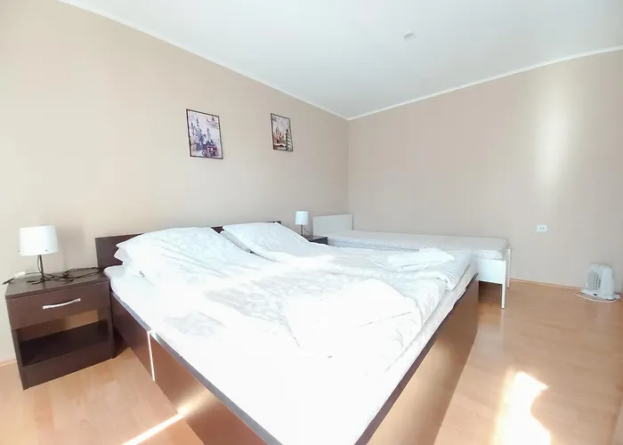 Nikola * 索科矿泉村